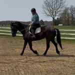 Natalie Kline - @kline_equine_center - Instagram
