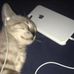 Natália Kun - Facebook