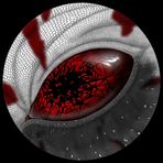 Natalie Kurth - Facebook