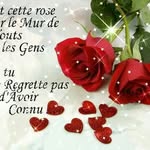 Nathalie Laforest - @nlaforest - Instagram