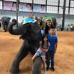 Natalie Le - Facebook