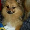 Nathalie Lehmann - @nathalie.lehmann4 - TikTok