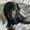 Natalie lemon - @natalie.lemon38 - TikTok
