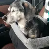 Natalie Logsdon - @nat.crackle.pop - TikTok