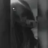 Natalieee 💕✨😻 - @natalieluii07 - TikTok