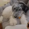 nataliemae - @nataliemae..08 - TikTok