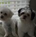 Natalie Martz - Facebook