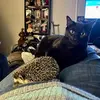 Natalie Mast - @natalie.mast - TikTok
