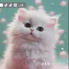 Natalie_maus.30.03 - @natalie_maus2 - TikTok