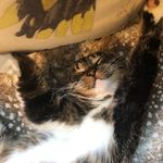 Natalie McMaster - @nexmrys - Instagram