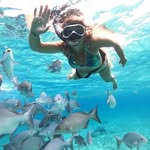 Nathalie Ménard - @nanou78340 - Instagram