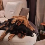 Nathalie Menard - @nathalie.menard.7169 - Instagram