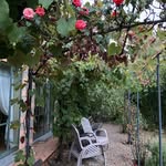 Natalie Menzel Aellig - @flowerpower082024 - Instagram