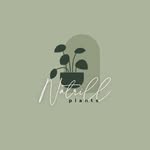 Natalie Merrill - @natrill_plants - Instagram
