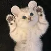 nataliemerry - @natalie.merryy - TikTok