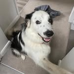 Natalie Mott - @talie1706 - Instagram