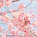 Natalie Mott - Facebook