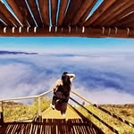 Natalie Navarro - @natu14119 - Instagram