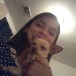 Natalie Nevarez - @love_german_sheperds - Instagram