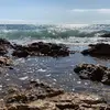 natalienevarez495 - @natalienevarez495 - TikTok