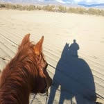 Nielson Natalie - @natalie.nielson.399 - Instagram