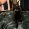 Balls - @natalie.ogden0 - TikTok