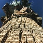 Natalie Ogden - @appreci8nature - Instagram