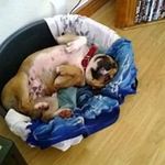 natalie okeefe - @okeefe.natalie - Instagram