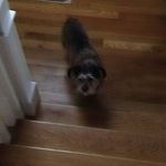 Natalie Okeefe - @okeefe5651 - Instagram