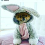 Natalie Ott - @kittydoggylove12 - Instagram