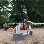 Natalie Palermo - @nnatpal - Instagram