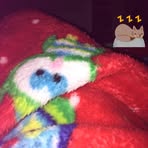 Natalie Parisi - Facebook
