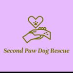 Natalie Patten - @second_paw_rescue - Instagram