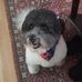 Natalie Bermender - Facebook