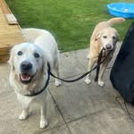 Natalie Pickles - @bert.and_ern - Instagram