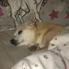 Natalie Pickles - @depressingvideos2006 - TikTok