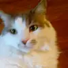 natalie.poling - @natalie.poling56 - TikTok