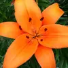 nataliepollock72 - @nataliepollock72 - TikTok