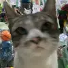 Keroppi - @natalie.posadas6 - TikTok