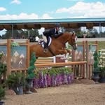 Natalie Prescott - @natalie.prescott.eq - Instagram