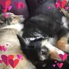 Nathalie Prevost - @nathalie.prevost7 - TikTok