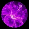 @Primnatalie03 - @primnatalie6 - TikTok