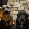 natalie.q4 - @natalie.quick5 - TikTok