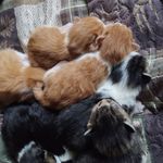 Natalie Quist - @natalieq.favorite_aunt - Instagram