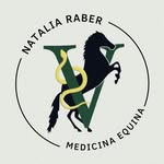 Natalia Raber - @nataliaraber_medicinaequina - Instagram