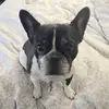 natalieraber - @natalieraber - TikTok