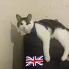 natalieralph607 - @natalieralph607 - TikTok