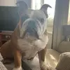 natalieralph911 - @natalieralph911 - TikTok
