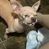 natalierandoms - @natalierandoms - TikTok