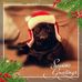 Natalie Rector - Facebook